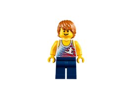 31079 - Sunshine Surfer Van