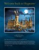 Instrucciones de Construcción - LEGO - 71043 - Hogwarts™ Castle: Page 3